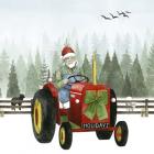 Country Santa I