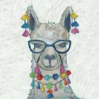 Llama Love with Glasses II