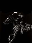 Scratchboard Rodeo I