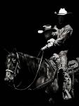 Scratchboard Rodeo II