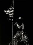 Scratchboard Rodeo VI