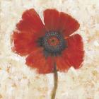 Red Poppy Portrait I