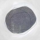 Speckle I
