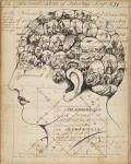 Phrenology Bookpage