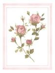 Rose Pattern I