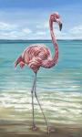 Beach Walker Flamingo I