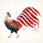 Rooster Fireworks I