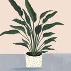 Houseplant IV