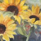 Sunflowers in Watercolor II