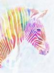 Fluorescent Zebra II