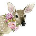 Deer Spring I