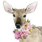 Deer Spring II