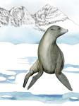 Arctic Animal IV