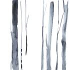 Snow Line VIII