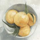 Fruit Bowl I