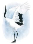 Dancing Crane I