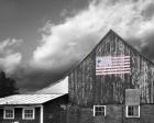 Flags of Our Farmers VII