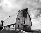 Flags of Our Farmers X