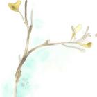 Teal and Ochre Ginko IV