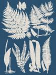 Linen & Blue Ferns I