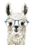 Hip Llama II