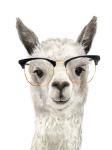 Hip Llama IV