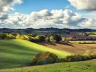 Pastoral Countryside III