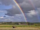 Pastoral Countryside VII