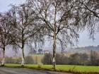 Pastoral Countryside XI