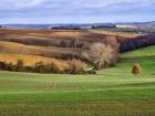 Pastoral Countryside XVII