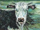 Marshland Cow I