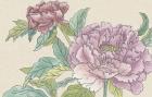 Peony Blooms I