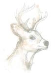Deer Cameo IV