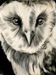 Charcoal Owl II