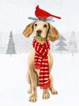 Christmas Cats & Dogs V