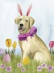 Puppy Easter I