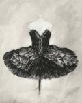 Black Ballet Dress I