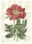 Peony Flower Garden II