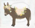 Dainty Burro I