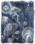 Moon Jellies I