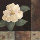 Magnolia Breeze II