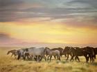 Sunkissed Horses I