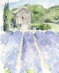Lavender Fields I