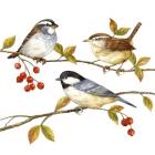 Birds & Berries I