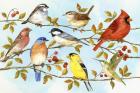 Birds & Berries V