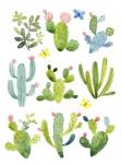 Happy Cacti