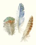 Watercolor Feathers III