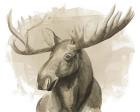 Bull Moose II