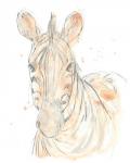 Blush Savannah IV