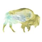 Agate Animal III